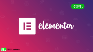 Elementor Pro 3.19.2